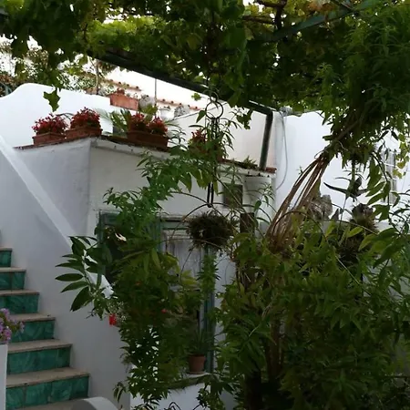 Il Gelso Apartment Anacapri (Isola di Capri)